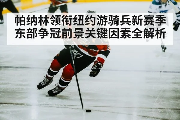 帕纳林领衔纽约游骑兵新赛季东部争冠前景关键因素全解析