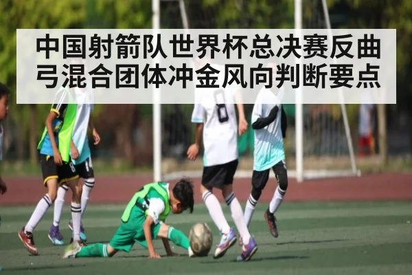 中国射箭队世界杯总决赛反曲弓混合团体冲金风向判断要点